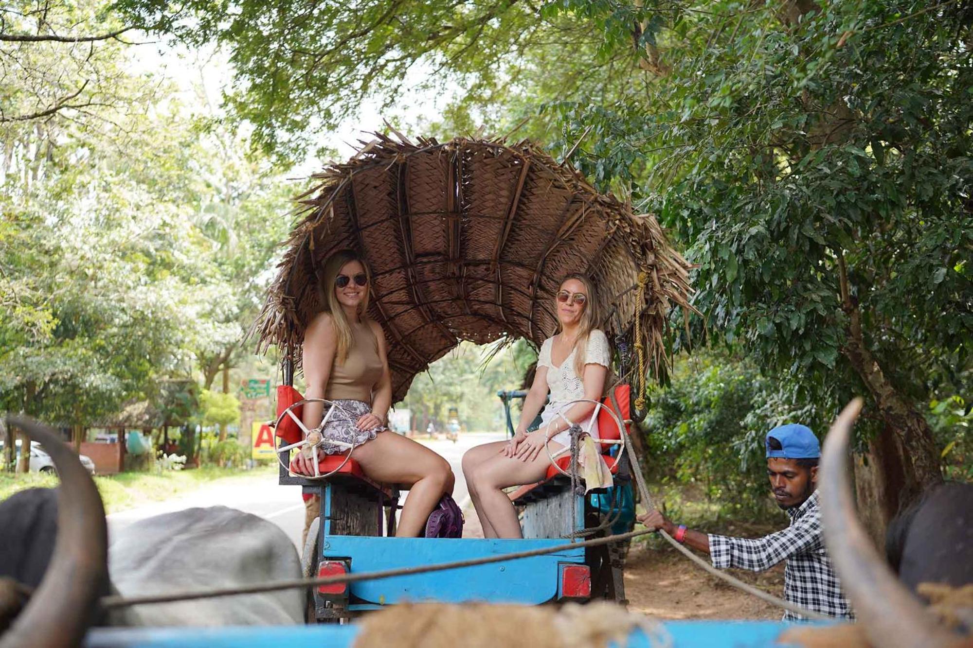 Sigiriya Kingdom Resort Dambulla Dış mekan fotoğraf